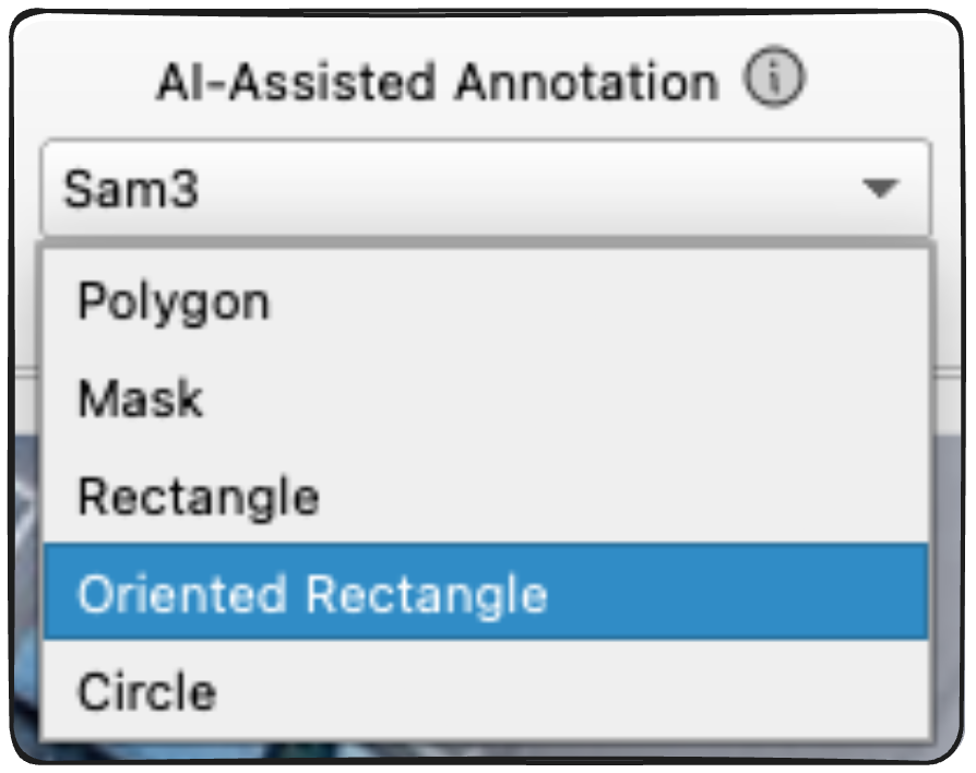 LabelMe v6.2 AI-Assisted Annotation dropdown showing Polygon, Mask, Rectangle, Oriented Rectangle, and Circle output options